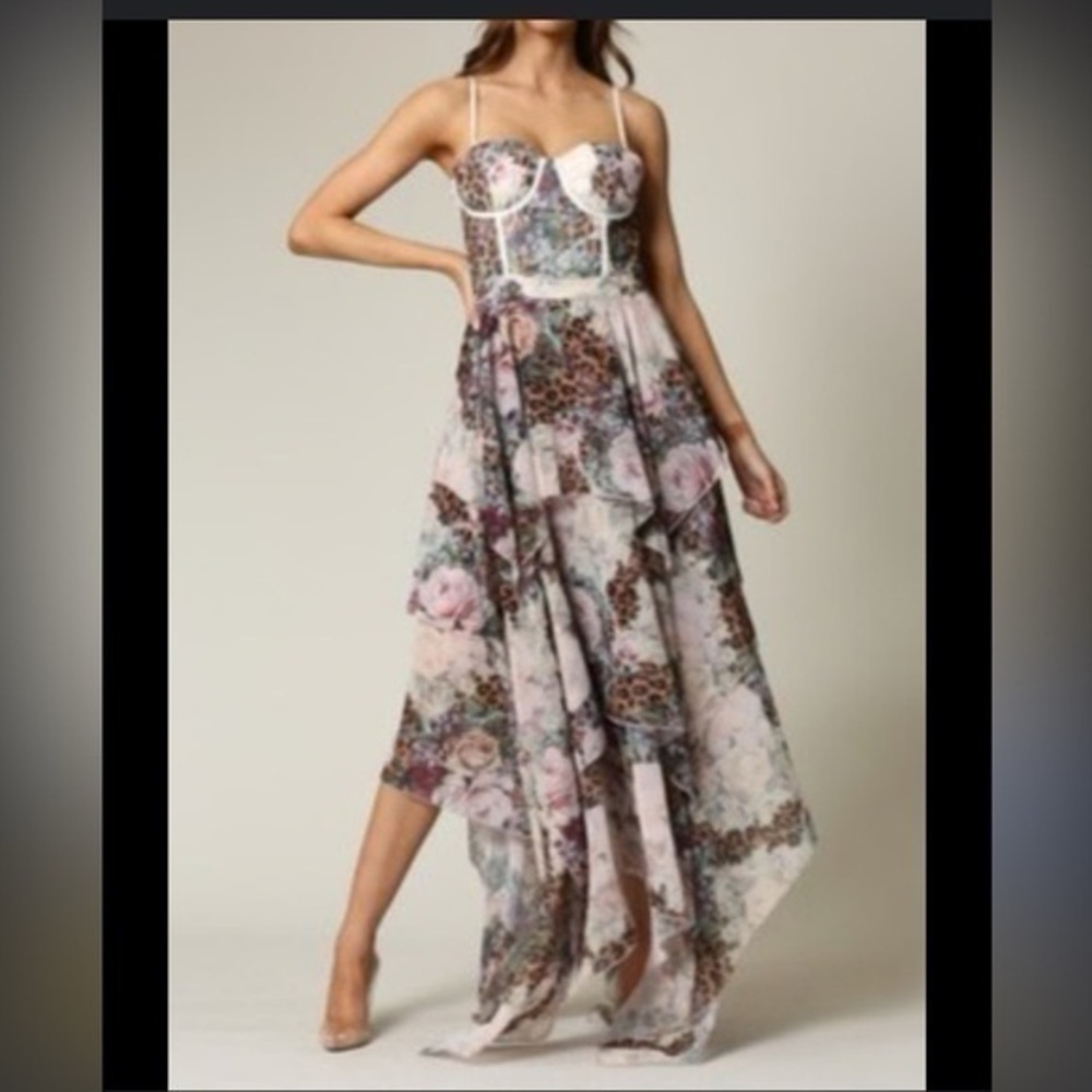 Fashion Nova Botanical Dream Dress - Pink and Black